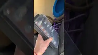 Все фигня давай по новой…