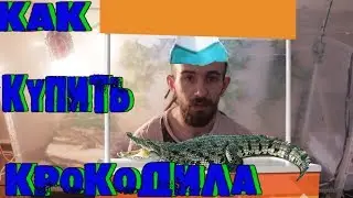 КАК КУПИТЬ КРОКОДИЛА! почему мы никому не продаем крокодилов!