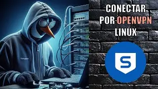 Conectarse por OpenVPN desde Linux (Sophos XG Firewall)