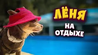 Лёня на отдыхе