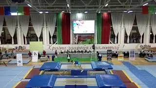 Турнир по прыжкам на батуте на призы МСМК Татьяны Петрени