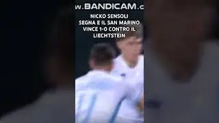 È servita la 100 tiri per farlo segnare in nazionale 🇸🇲#sanmarino #sensoli #calcio