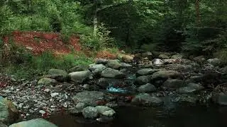 #relaxingvideo #beautifulnature