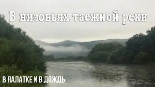 На рыбалке в тайге. Один в палатке. Ленок.