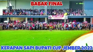 BABAK FINAL KERAPAN SAPI BUPATI CUP JEMBER 2022 || LAPANGAN TANGGUL WETAN