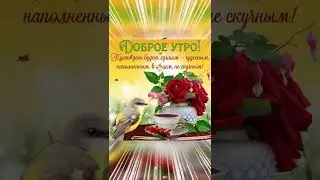 Доброе утро!#shorts