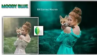 Snapseed - New Moody Blue Photo Editing |🔥Snapseed Photo Editing Tricks 2020 | Blue Effect Edit