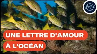 Une lettre d'amour à l'océan