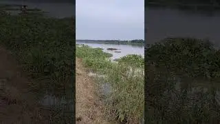 Village river side ..... Our village