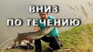 Вниз по течению. Щука 7 кг.