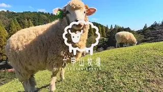 ひとりで楽しむ六甲山牧場