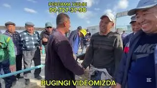 21-СЕНТЯБР/2025/ШЫМБАЙ МАЛ БАЗАРЫ/МАЛ БАЗАР 2025/ДЕМ БЕРМЕС МАЛ БАЗАР