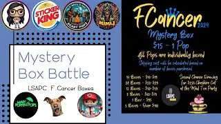 LSAPC F Cancer Funko POP Mystery Box Battle - 6 Channels, GRAIL pulled