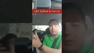 ОБЕЗЬЯНА В ТАКСИ