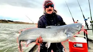 Early SPRING Blue Catfish In SUPER SHALLOW Water! (Bonus Albino)