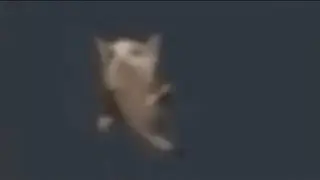 шни шна шнапи