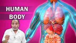 Human Body || Dr. Shariq Aqil