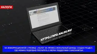 Новый раздел о мерах поддержки самозанятых