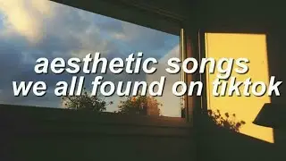 popular aesthetic songs that we all found from tiktok