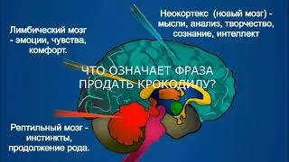 объявление нейромаркетинг