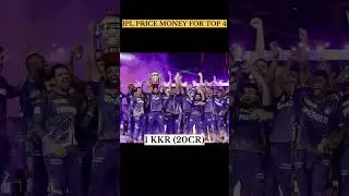 TATA IPL 2024 PRICE MONEY FOR TOP 4 TEAM 