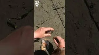 Рыбалка на карася. Май 2024 г.