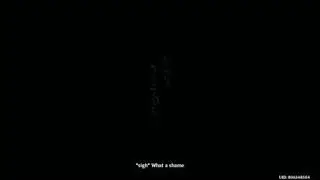 Genshin Impact 3.3 Event Cut Scene Part 2 English Dub