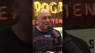 Joe Rogan On The Man Eating Tsavo Lions Of Africa 🦁 #joerogan #joeroganpodcast #lion