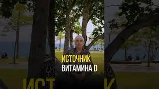 ГЛАВНЫЙ ИСТОЧНИК ВИТАМИНА D