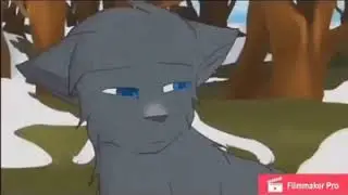 Коты воители коротакая серия