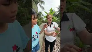 Phóng sanh con Ếch ngay ngày rằm 