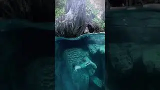 Nature is not a place to visit, it is Home