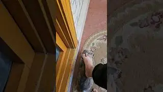 Тиктокер Гладит Кошку😹😻