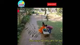 फोटो खींचने के चक्कर में इस औरत के साथ क्या हुआ || 😭😭 || #shorts