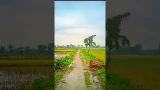 Gcam Power 