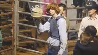 Bull riding feat my brother/the bull rider