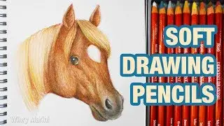 Horse Head with Soft Drawing Pencils