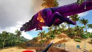 Ark Hunting Dupers and Defending Our Home Server