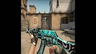 (CSGO) AK-47 | Frontside Misty