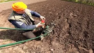 Термінова робота фрезою та висів моркви. Телець.