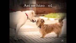 Así se hizo #02