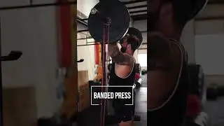 Build massive shoulders with these exercises 