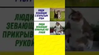 Люди зевающие с открытым ртом: 