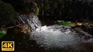 Free 4K Beautiful Spring Water Flow - No Copyright Stock Video - Free Video Footage
