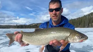 Arctic Char in the Yukon