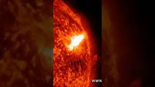 NASA's Solar Dynamics Observatory Captured Solar Flare X1.0. Causing Radio Blackout