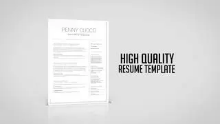 Resume Template Volantis Gamma