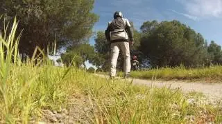 Pinares de Garrovillas de Alconétar