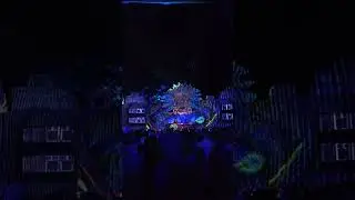 Antonimous - Insomnia Festival 2024