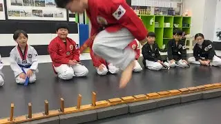 타툴 우수도장 세종시 BOK태권도 교구 도구 수련 영상